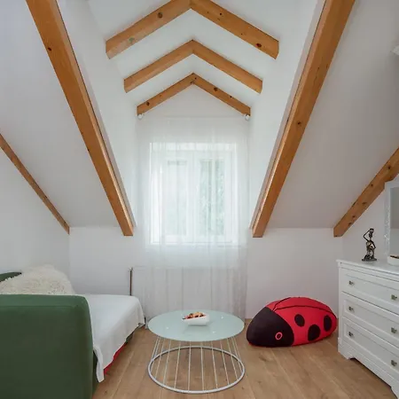 Villa Giardino Drniš